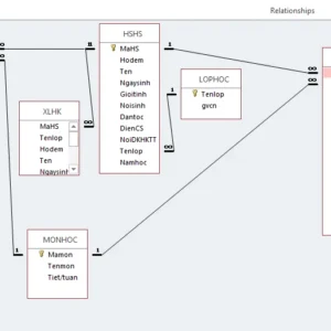 HS8 Quan Ly Hoc Sinh THCS 3